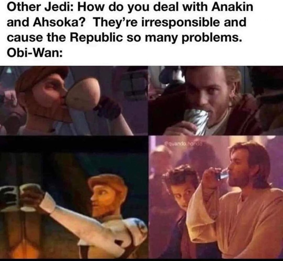 This meme is a humorous comparison between a scene from the movie Star Wars: The Phantom Menace and a scene from the movie A New Hope. The text "They're irrelevent" is written in the style of the Star Wars character Obi-Wan Kenobi, but it's actually a quote from the character Anakin Skywalker's mother, Shmi Skywalker, from the movie The Phantom Menace. The meme is poking fun at the fact that the character Anakin is saying something that is actually a quote from his mother, and it's a clever play on words.